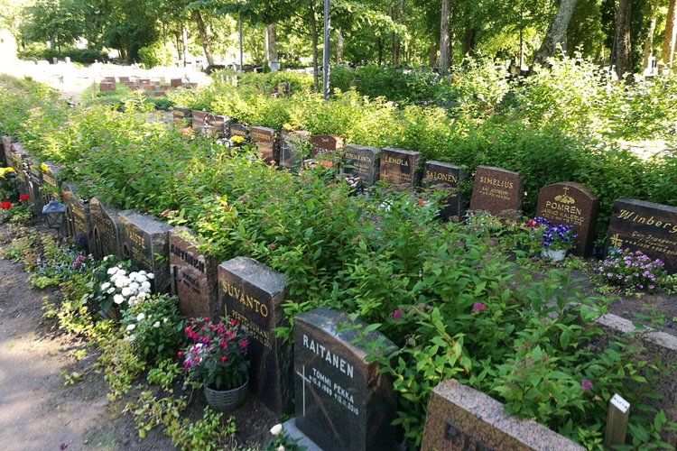 Hautakiviä Naantalin kirkon uurnahautausmaalla. Hautakivien takana runsasta vihreää pensaskasvillisuutta.